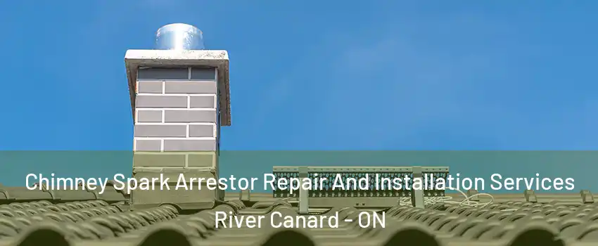  Chimney Spark Arrestor Repair And Installation Services River Canard - ON