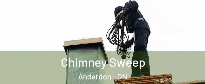  Chimney Sweep Anderdon - ON