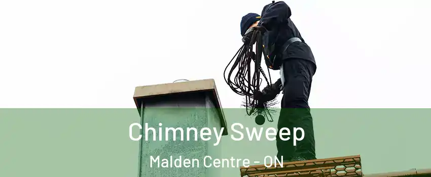  Chimney Sweep Malden Centre - ON