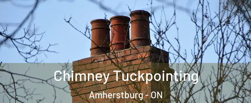  Chimney Tuckpointing Amherstburg - ON