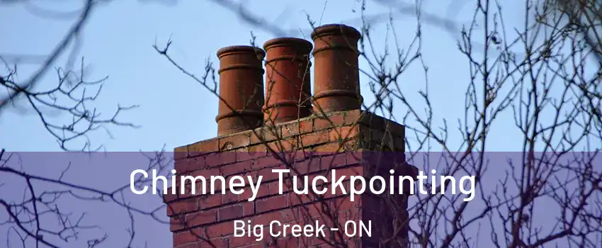  Chimney Tuckpointing Big Creek - ON