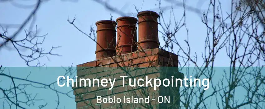  Chimney Tuckpointing Boblo Island - ON