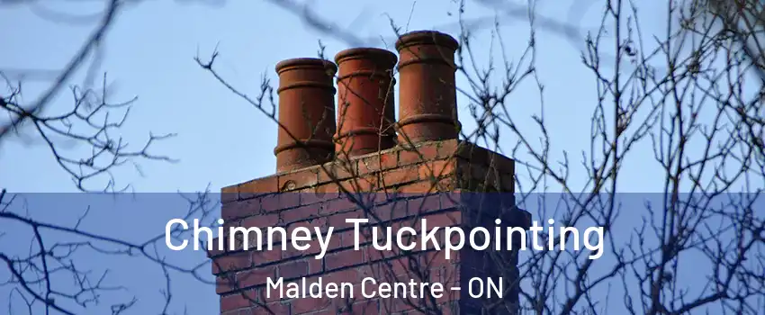  Chimney Tuckpointing Malden Centre - ON