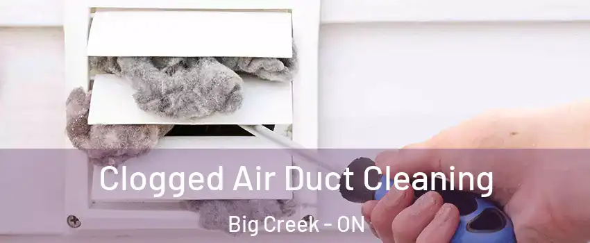  Clogged Air Duct Cleaning Big Creek - ON