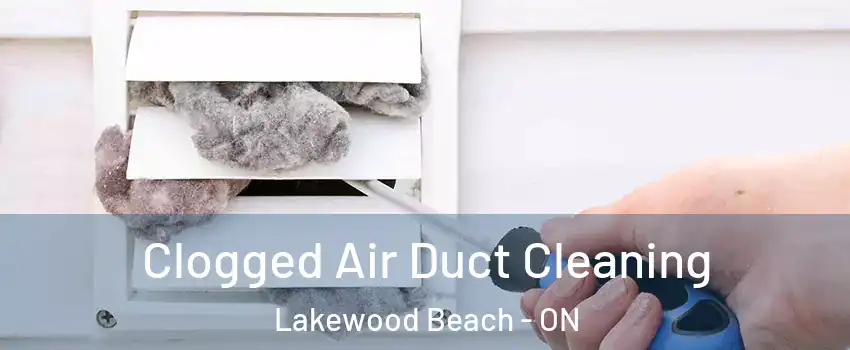  Clogged Air Duct Cleaning Lakewood Beach - ON