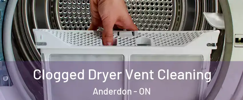  Clogged Dryer Vent Cleaning Anderdon - ON