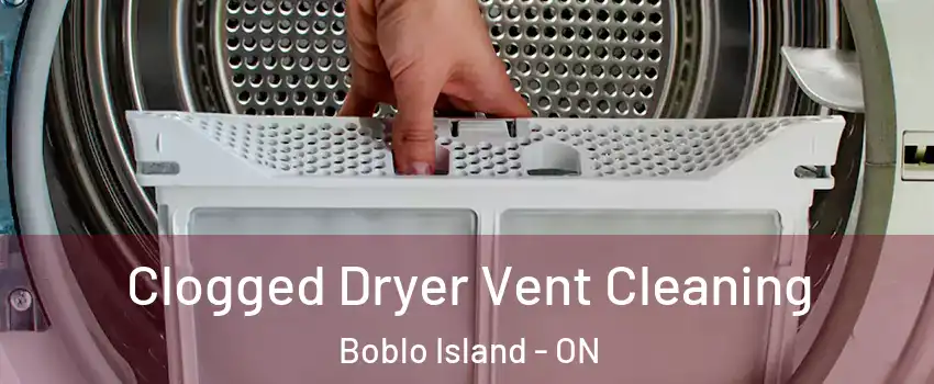  Clogged Dryer Vent Cleaning Boblo Island - ON