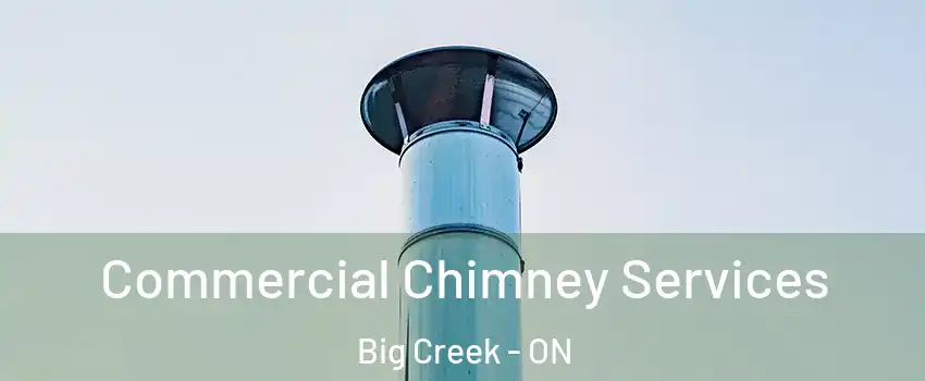  Commercial Chimney Services Big Creek - ON
