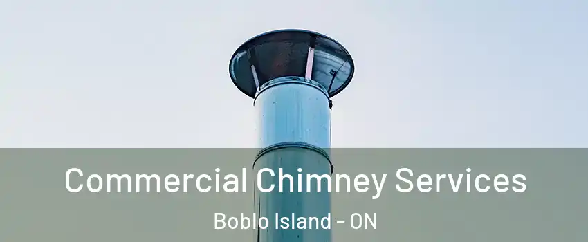  Commercial Chimney Services Boblo Island - ON