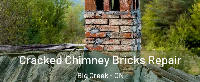 Cracked Chimney Bricks Repair Big Creek - ON