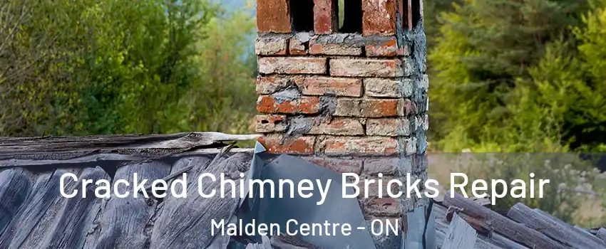  Cracked Chimney Bricks Repair Malden Centre - ON
