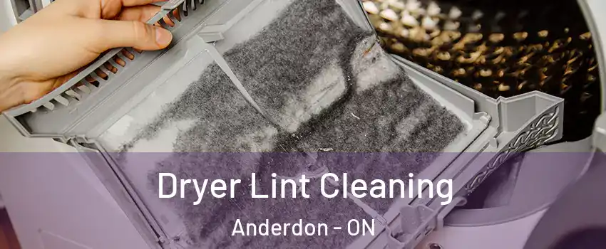  Dryer Lint Cleaning Anderdon - ON