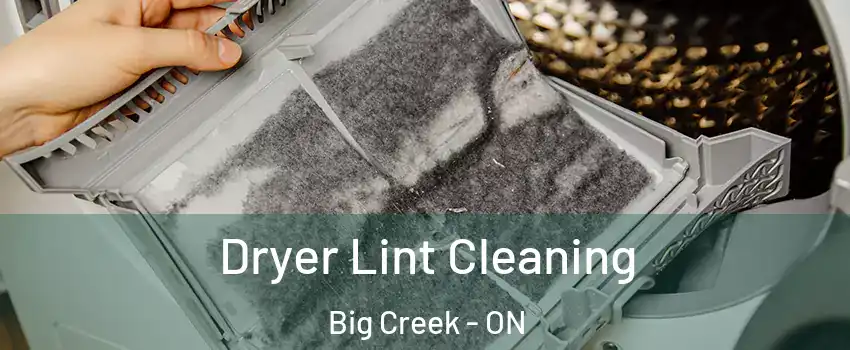  Dryer Lint Cleaning Big Creek - ON