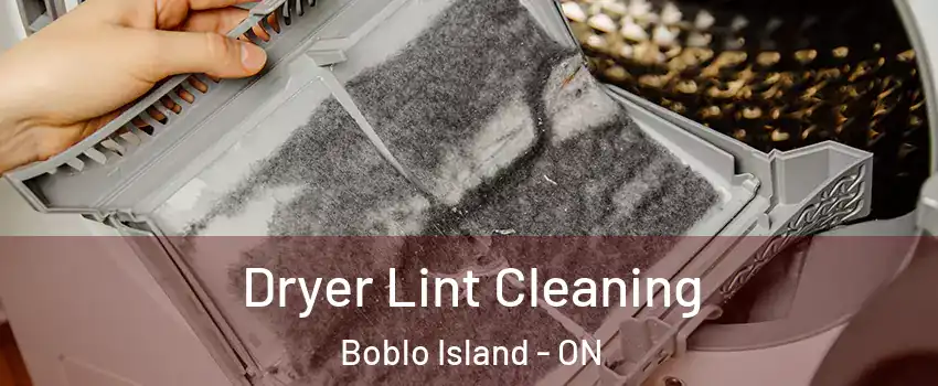 Dryer Lint Cleaning Boblo Island - ON