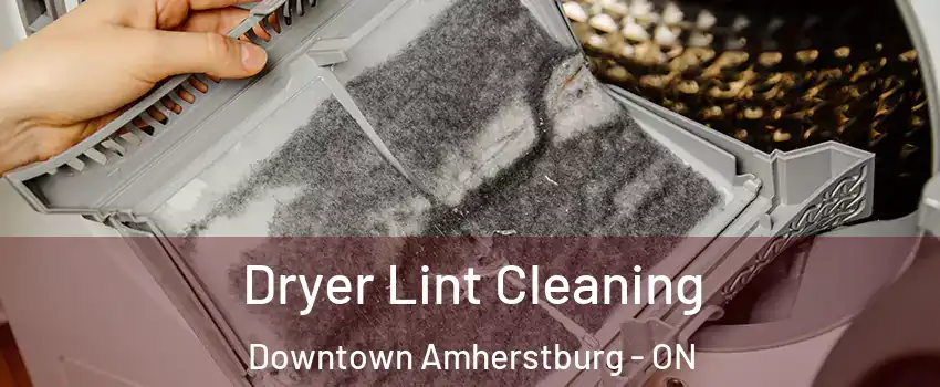  Dryer Lint Cleaning Downtown Amherstburg - ON