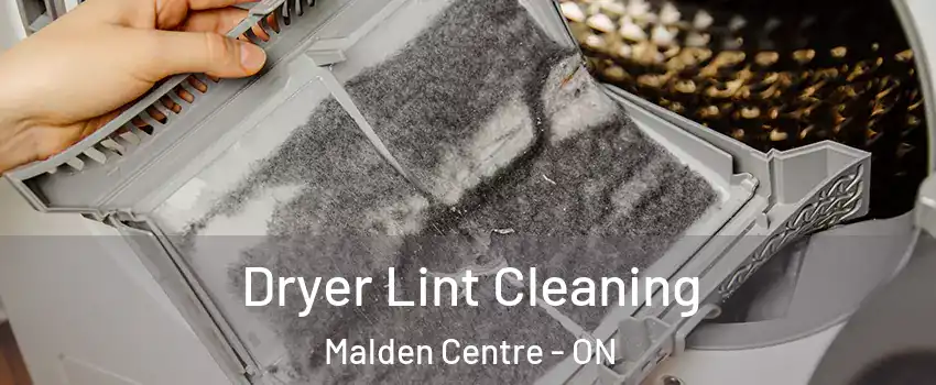  Dryer Lint Cleaning Malden Centre - ON