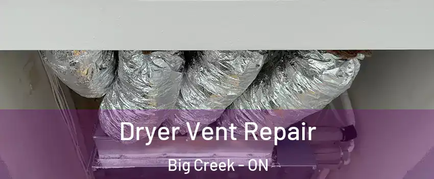  Dryer Vent Repair Big Creek - ON