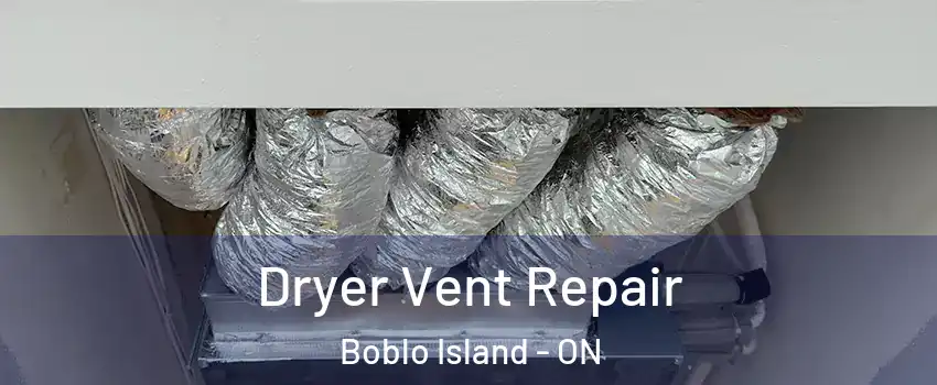  Dryer Vent Repair Boblo Island - ON