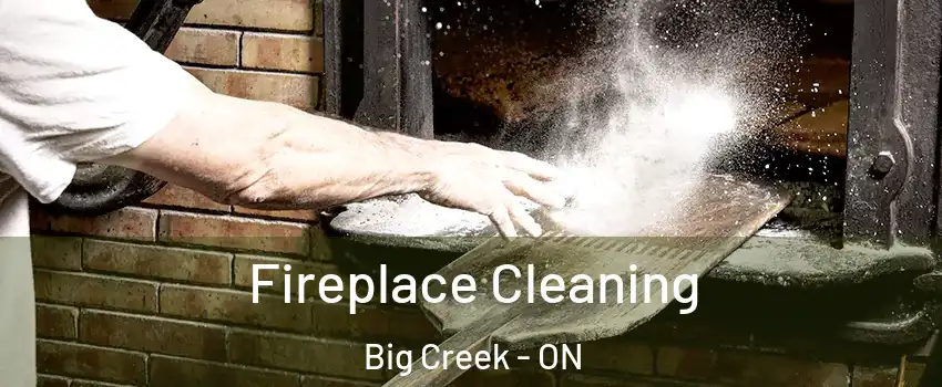 Fireplace Cleaning Big Creek - ON
