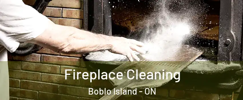  Fireplace Cleaning Boblo Island - ON