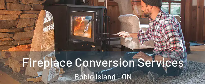  Fireplace Conversion Services Boblo Island - ON