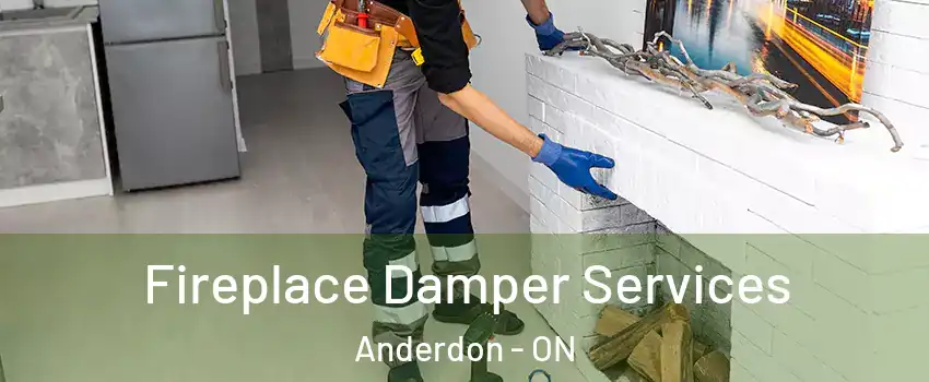  Fireplace Damper Services Anderdon - ON