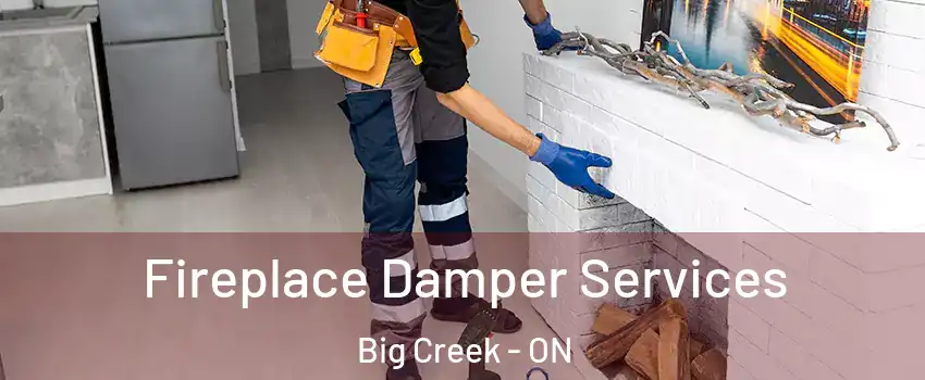  Fireplace Damper Services Big Creek - ON