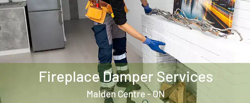  Fireplace Damper Services Malden Centre - ON