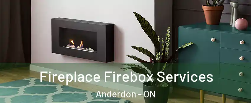  Fireplace Firebox Services Anderdon - ON