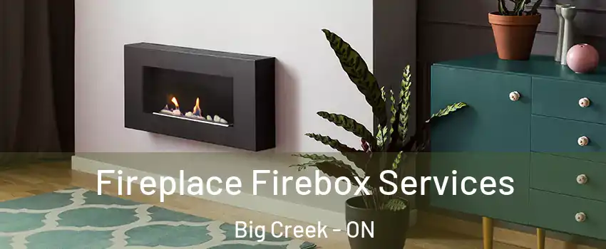  Fireplace Firebox Services Big Creek - ON