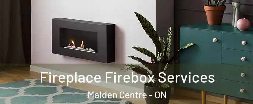  Fireplace Firebox Services Malden Centre - ON