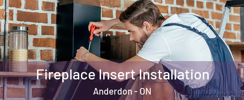  Fireplace Insert Installation Anderdon - ON