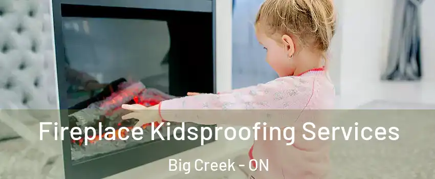 Fireplace Kidsproofing Services Big Creek - ON
