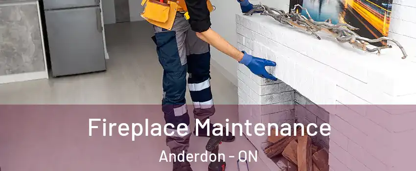  Fireplace Maintenance Anderdon - ON