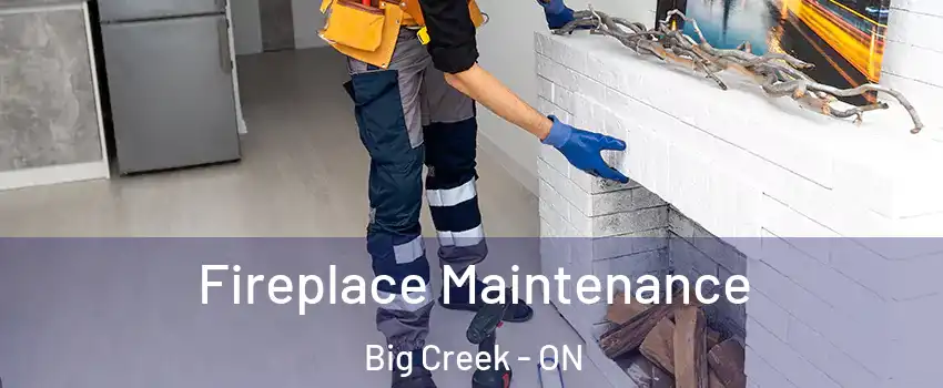 Fireplace Maintenance Big Creek - ON