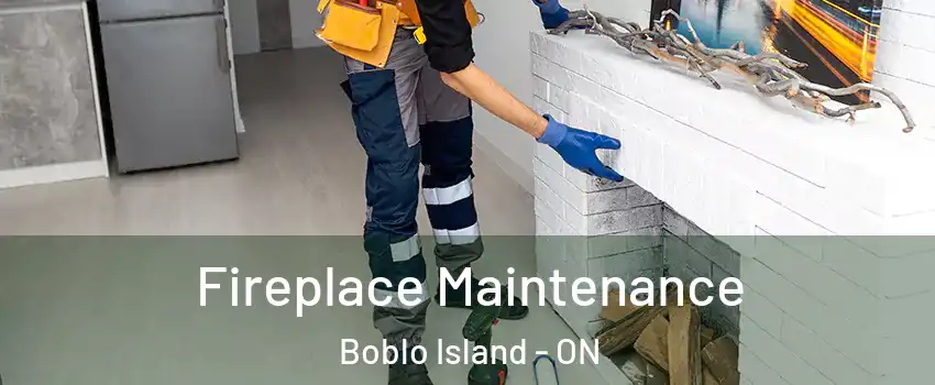  Fireplace Maintenance Boblo Island - ON