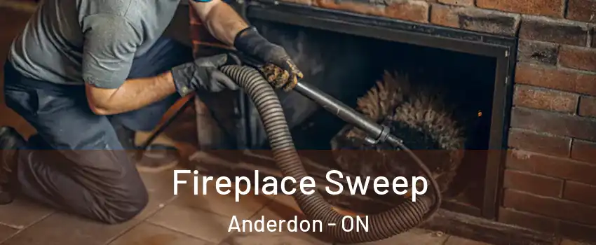  Fireplace Sweep Anderdon - ON