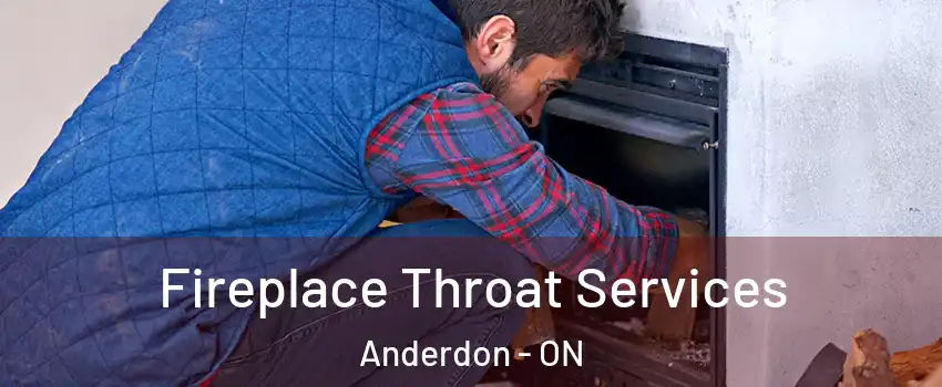  Fireplace Throat Services Anderdon - ON