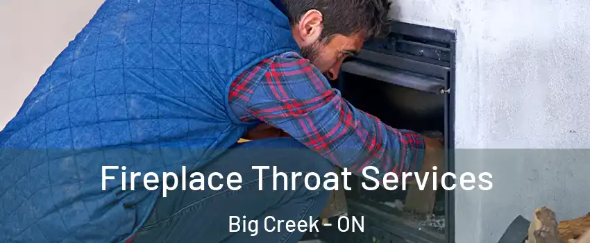  Fireplace Throat Services Big Creek - ON