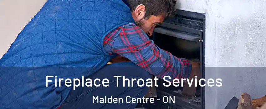  Fireplace Throat Services Malden Centre - ON