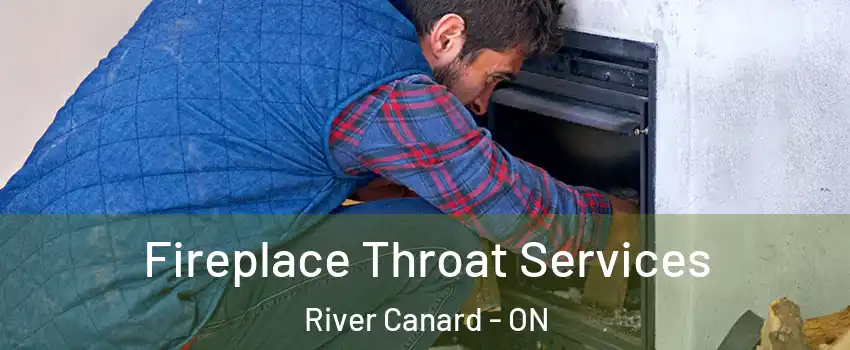  Fireplace Throat Services River Canard - ON