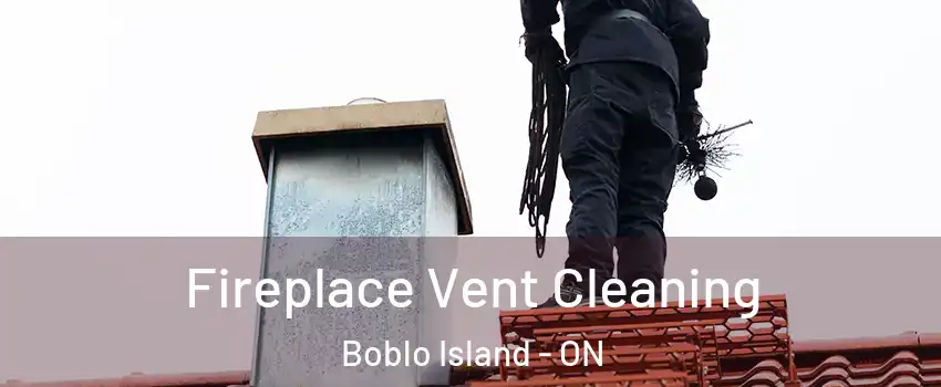  Fireplace Vent Cleaning Boblo Island - ON