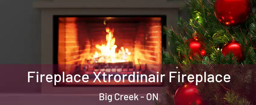  Fireplace Xtrordinair Fireplace Big Creek - ON