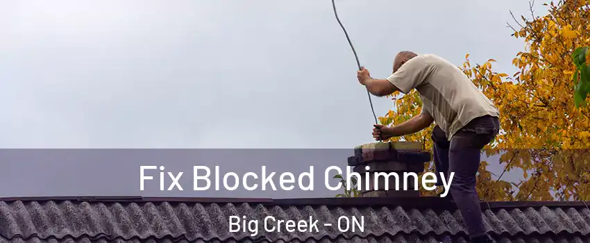  Fix Blocked Chimney Big Creek - ON