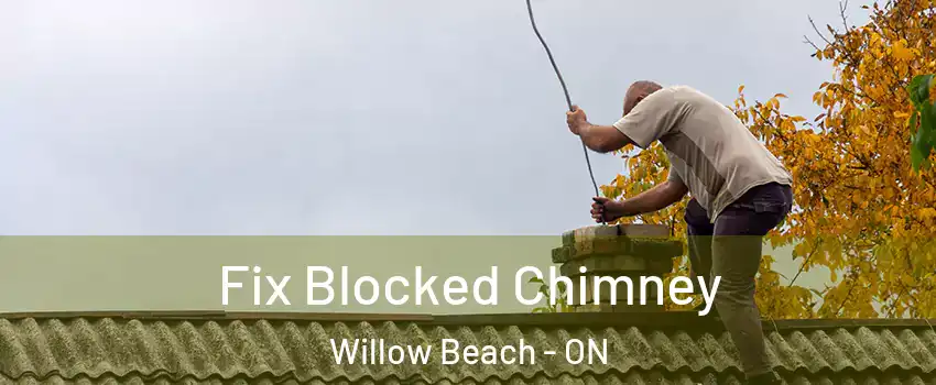 Fix Blocked Chimney Willow Beach - ON