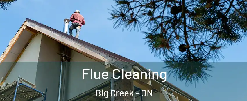  Flue Cleaning Big Creek - ON