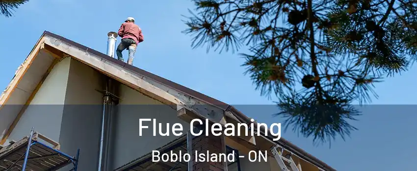  Flue Cleaning Boblo Island - ON