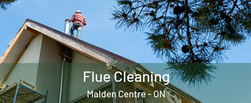  Flue Cleaning Malden Centre - ON
