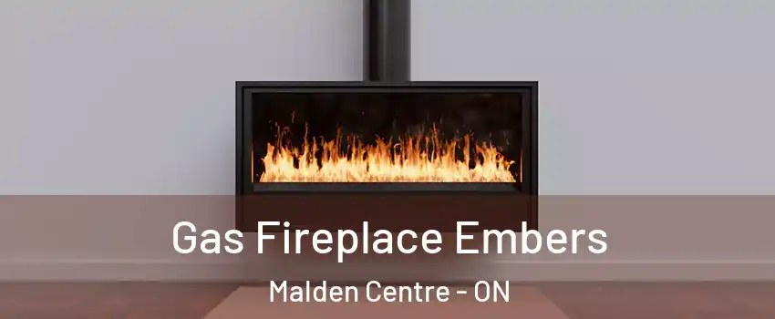  Gas Fireplace Embers Malden Centre - ON
