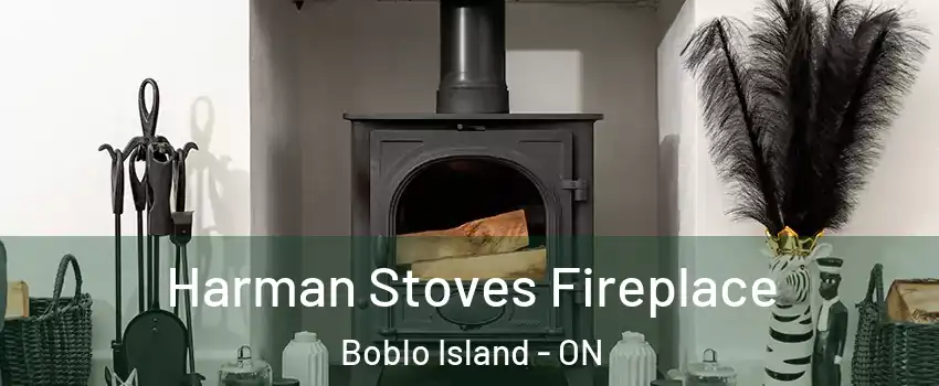  Harman Stoves Fireplace Boblo Island - ON